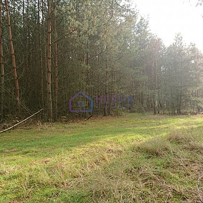 SPRZEDAŻ na DZIAŁKA w STARZYCE