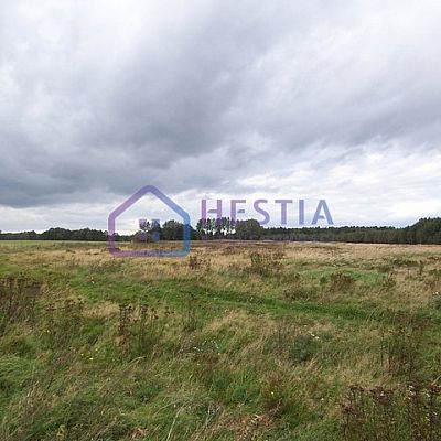 SPRZEDAŻ na DZIAŁKA w BAGNA