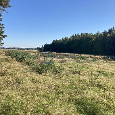 SPRZEDAŻ na DZIAŁKA w KRZEPOCIN