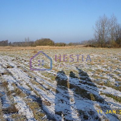 SPRZEDAŻ na DZIAŁKA w BRZÓZKI