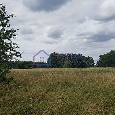 SPRZEDAŻ na DZIAŁKA w ZIELENIEWO