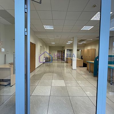LOKAL na WYNAJEM