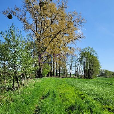 SPRZEDAŻ na DZIAŁKA w STARE CHRAPOWO