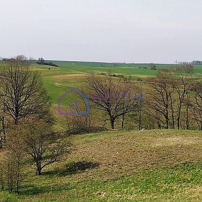SPRZEDAŻ na DZIAŁKA w ŻELISŁAWIEC
