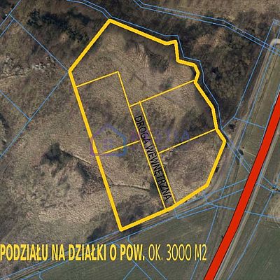 DZIAŁKA na SPRZEDAŻ