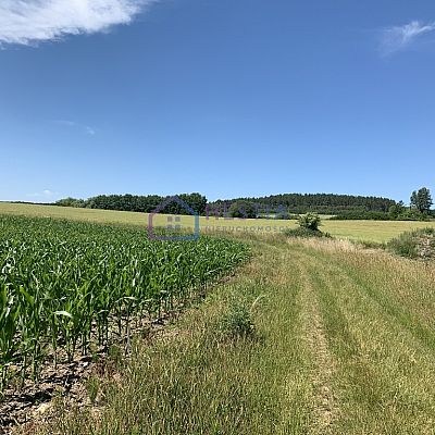 SPRZEDAŻ na DZIAŁKA w STARE CZARNOWO