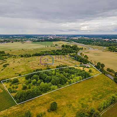 DZIAŁKA na SPRZEDAŻ
