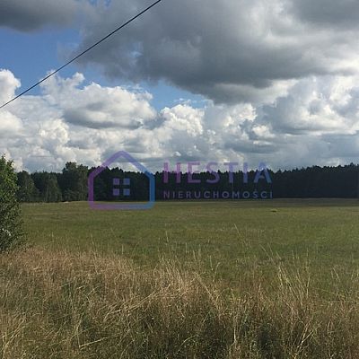 SPRZEDAŻ na DZIAŁKA w MIŁOWO