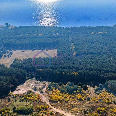 SPRZEDAŻ na DZIAŁKA w DARGOBĄDZ